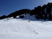 Zeer goed geprepareerd beginnersgebied in Geils