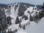 Brichou - 4-persoons vaste stoeltjeslift