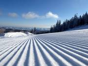 Perfect geprepareerde piste in het skigebied Mönichkirchen/Mariensee
