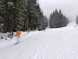 Hirschberglifte – Kreuth