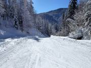 Gemakkelijke dalafdaling (skiroute) naar Seegatterl