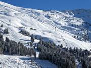 Vrij skigebied bij de Zillertal Shuttle