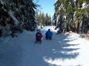 Tip voor de kleintjes  - Rodelbanen Arber