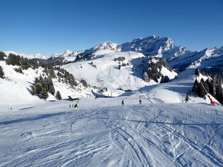 Pisteaanbod Waadt – Pisteaanbod Villars/Gryon/Les Diablerets