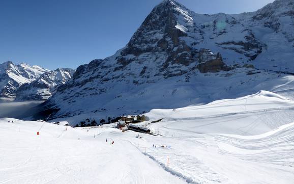 Grootste skigebied in Espace Mittelland – skigebied Kleine Scheidegg/Männlichen – Grindelwald/Wengen