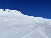 Moeilijke piste nr. 5 Bort direkt