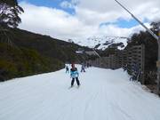 Gemakkelijke piste Wombats Ramble