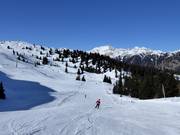 Piste Kalcher Alm III