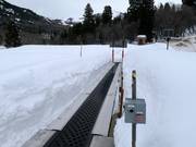 Wildflower Carpet - Transportband/Moving Carpet