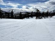 Geprepareerde piste in het skigebied Vemdalsskalet