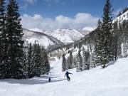 Piste in Honeycomb Canyon