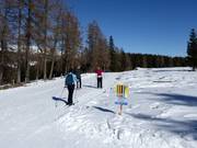 Langlaufloipe op de Hochrindl