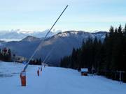 Lanzenbesneeuwing in Jasná