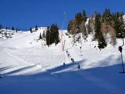 Kogelalmlift - Sleeplift met T-beugel/Ankerlift