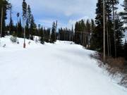 Gemakkelijke afdaling Woodcutter bij de Plaza Chair