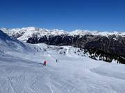 Piste Kalcher Alm I