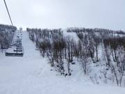 Uitzicht op de moeilijke pistes vanaf de Osthangsbanan