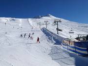 Transportband Almwiese