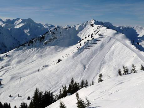 Kleinwalsertal: Grootte van de skigebieden – Grootte Walmendingerhorn/Heuberg – Mittelberg/Hirschegg