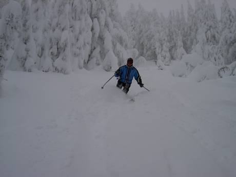 Pisteaanbod Oregon – Pisteaanbod Mt. Bachelor