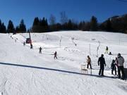 Hornbabylift - Pannenkoeklift