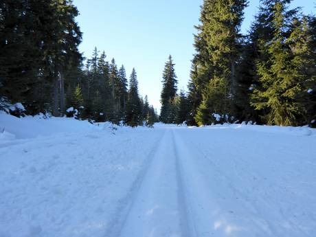 Langlaufen Noordoost-Tsjechië (Severovýchod) – Langlaufen Černá hora – Janské Lázně