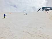 Piste Payer turistica