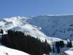 Urner Alpen: Grootte van de skigebieden – Grootte Meiringen-Hasliberg