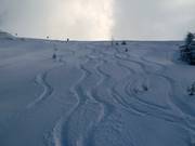 Sporen in de diepe sneeuw