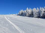 Gemakkelijke piste bij de Almwiesenlift