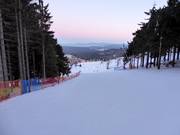 Piste nr. 33 W5 Lewa