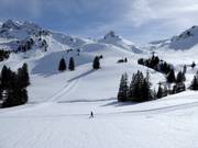 Winterdroom Adelboden-Lenk