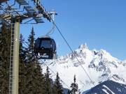 Papagenobahn met Bischofsmütze