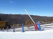Lansbesneeuwing in het skigebied Thredbo