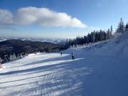 Gemakkelijke Hallerhausafdaling nr. 6