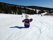 Tip voor de kleintjes 