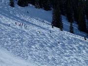 Bulten zijn een uitdaging