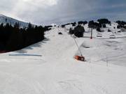 Afdaling Coq Bruyère