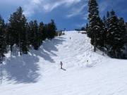 Steile piste bij de Mountaineer Express