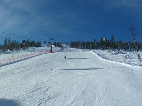 Skigebieden voor gevorderden en off-piste skiërs Beierse Woud – Gevorderden, off-piste skiërs Arber