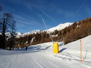 Lanzenbesneeuwing op de dalafdaling naar Ftan