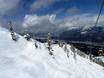 Skigebieden voor gevorderden en off-piste skiërs Columbia-Shuswap – Gevorderden, off-piste skiërs Kicking Horse – Golden