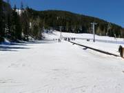 Makkelijke piste met transportband