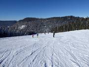 Voor beginners: Vlakke en brede Zigeuner-afdaling (Winklmoosalm)