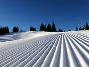 Zeer goede pistepreparatie