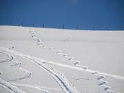 Zo'n 20 bochten komen samen