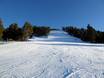 Skigebieden voor gevorderden en off-piste skiërs oostelijke Pyreneeën – Gevorderden, off-piste skiërs La Molina/Masella – Alp2500
