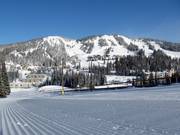 Gemakkelijke piste Silver Queen