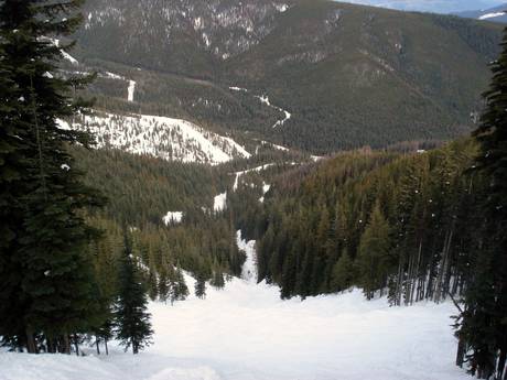 Skigebieden voor gevorderden en off-piste skiërs Columbia Mountains – Gevorderden, off-piste skiërs Silver Star