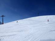 Brede piste nr. 3 Wilder Mann